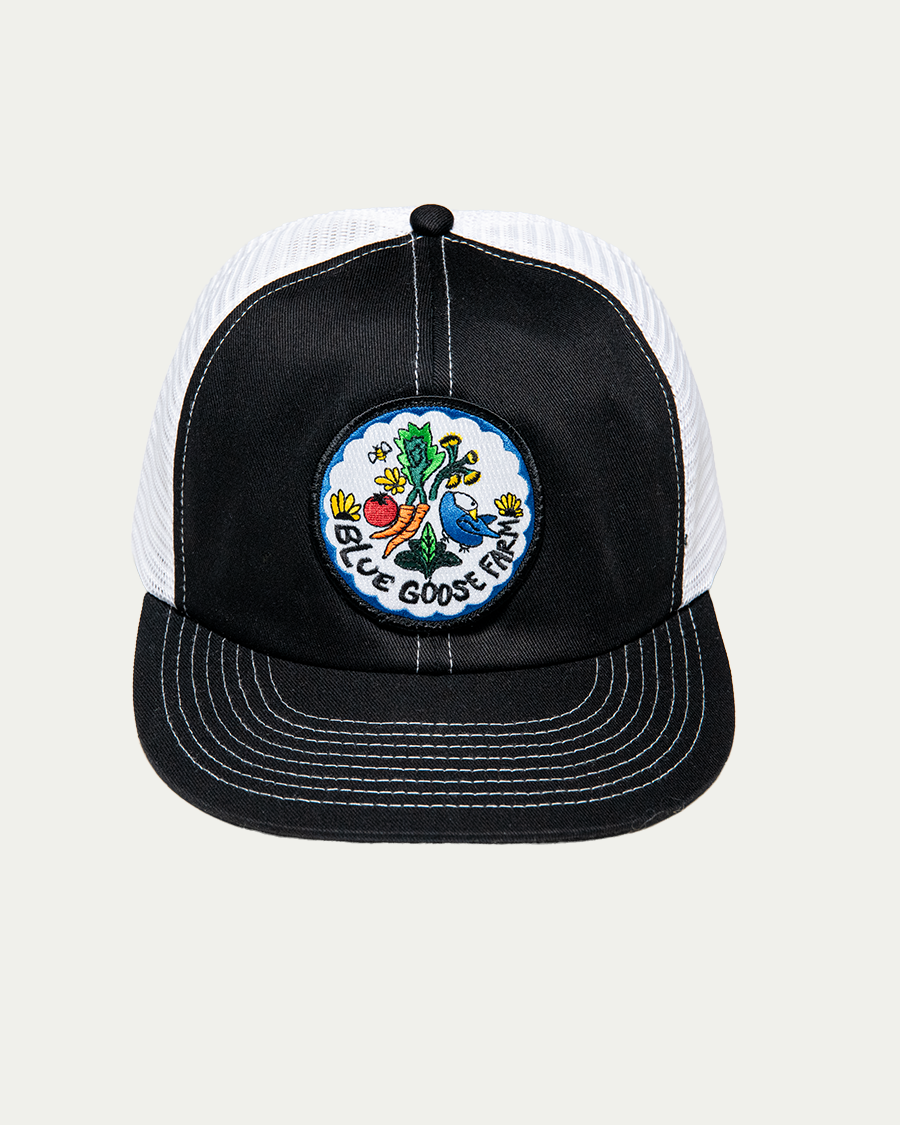 Blue Goose Circle Patch Hat